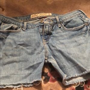 hollister shorts